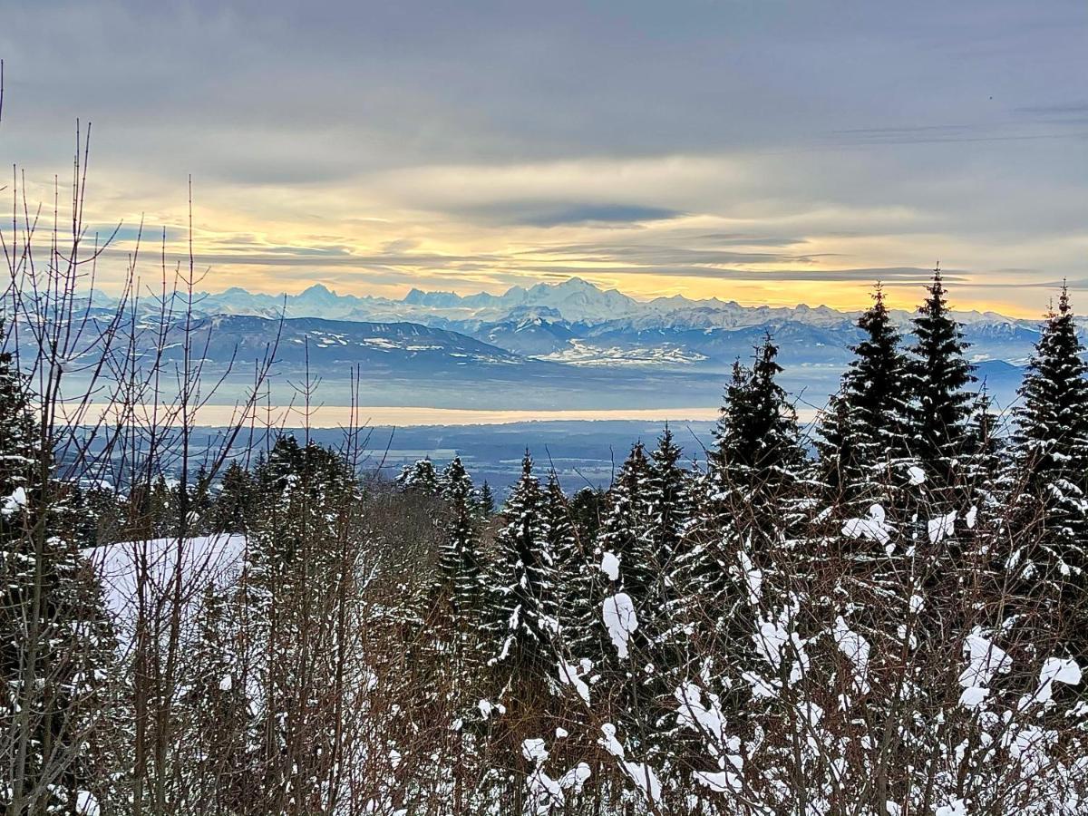 Gite Avec Terrasse Et Belle Vue - Chaletnelda Com Lamoura Zewnętrze zdjęcie
